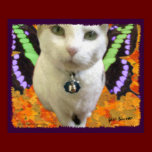 Fairy Cat Poster/Print posters
