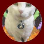 Fairy Cat Round Sticker stickers