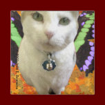 Fairy Cat Square Magnet magnets