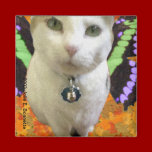 Fairy Cat Square Magnet
