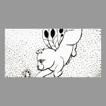 Fairy Cat W Butterfly photo cards