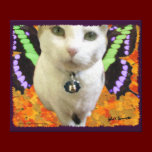 Fairy Cat Wrapped Canvas canvas prints