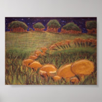 Fairy Circle Poster