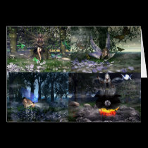 Fairy Collection-1 cards