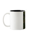 fairy contemplating life, fairy, fay, faery, fanta mugs