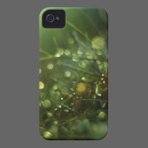 Fairy Dew iPhone Case casemate cases