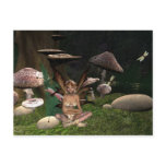 fairy dragon fly postcard fairy dragon fly postcard