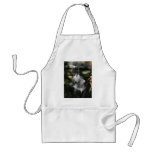 Fairy Dresses aprons