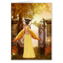 Fairy Duirwaigh cards
