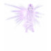 Ladies Baby Doll (Fitted)