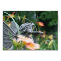 Fairy Euphoria cards by Fairyscape Fairy Euphoria cards