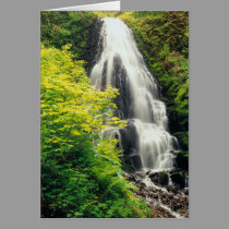 Fairy Falls cards