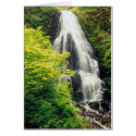 Fairy Falls cards