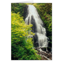 Fairy Falls cards by krickerd Fairy Falls cards
