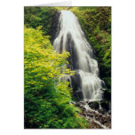 Fairy Falls Greeting Cards