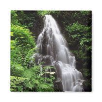 Fairy Falls magnets