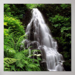 Fairy Falls Print