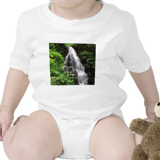 Fairy Falls Tee Shirts
