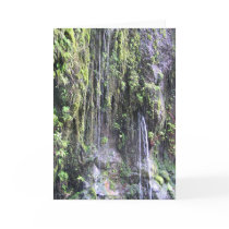 Fairy Ferns - Maui, Hawaii cards by Maia Fairy Ferns - Maui, Hawaii cards