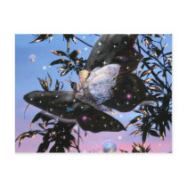 Fairy Flight! postcards by Occitania Fairy Flight! postcards