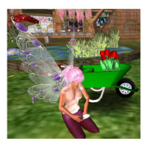 Fairy Gardener posters