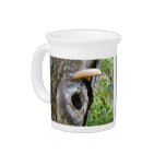 Fairy home with awning pitcher