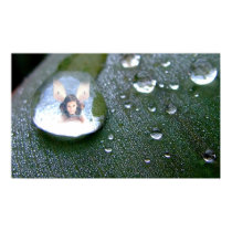 Fairy in a Raindrop posters