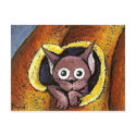fairy kitten in a pumpkin postcards