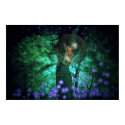 Fairy Land posters