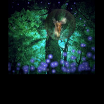 fairy Land