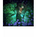 fairy Land t-shirts by reneecabral1 fairy Land t-shirts