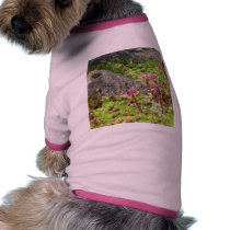 Fairy Landscape pet clothing by Artnomad Fairy Landscape pet clothing