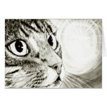 Fairy Light Tabby Cat Fantasy Art Card cards