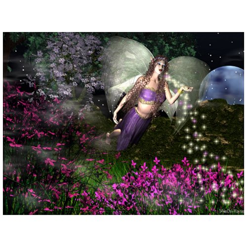Fairy NightMagick postcard