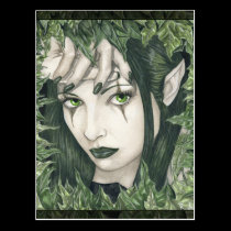 Fairy of the Dark Forest postcard postcards
