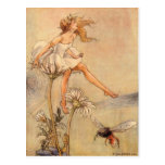 Fairy on a Daisy - Postcard