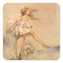 Fairy on a Daisy - Sticker sticker