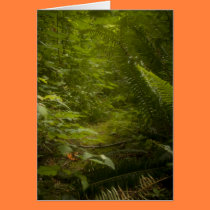 Fairy Pathways Fantasy Photograph Greeting Card cards