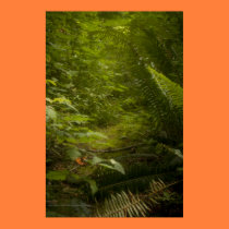 Fairy Pathways Fantasy Photograph Print posters