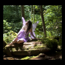 Fairy poster posters