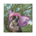 Fairy princess Amby magnets