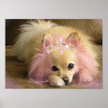 fairy princess dog with diamond crown posters