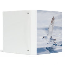Fairy Prion Pachyptila Turtur Sea Bird Running Vinyl Binders