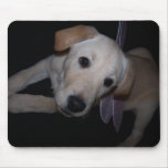 fairy pup Mousepad
