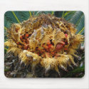 Fairy seed plant mousepads