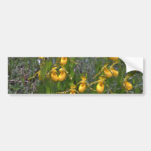 Fairy Shoes Bumper Sticker