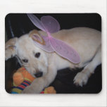 Fairy Special Labrador mousepads