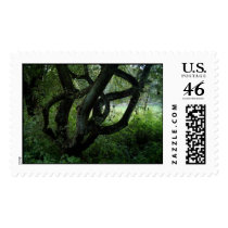 Fairy Tree postage by Barbara_Stock Fairy Tree postage
