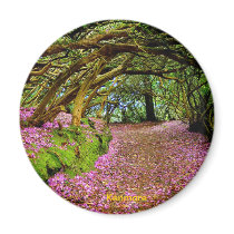 Fairy Tunnel, Kenmare Magnets