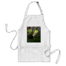Fairy Vineglitter Aprons